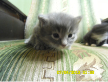SAM_0560.JPG