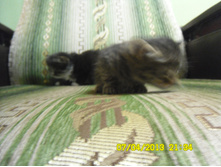 SAM_0562.JPG
