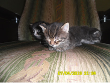 SAM_0563.JPG