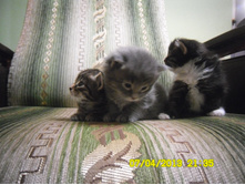 SAM_0566.JPG