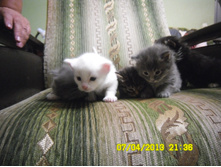 SAM_0568.JPG