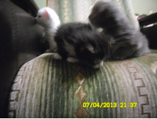 SAM_0569.JPG