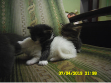 SAM_0573.JPG