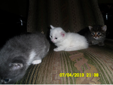 SAM_0574.JPG