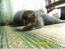 SAM_0581.JPG