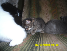 SAM_0587.JPG