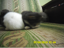 SAM_0589.JPG