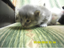 SAM_0591.JPG