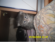 SAM_0594.JPG