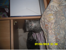 SAM_0596.JPG