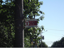 DSCF5406.jpg