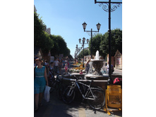 DSCF5448.jpg