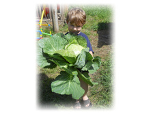 DSCN5318.JPG
