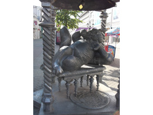 DSCF5495.jpg