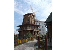 DSCF5575.jpg