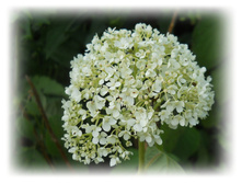 DSCN5345.JPG