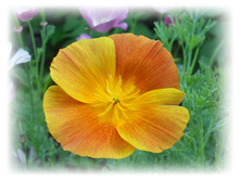 DSCN5350.JPG