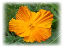 DSCN5351.JPG