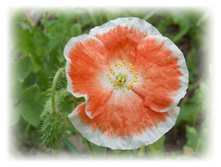 DSCN5358.JPG