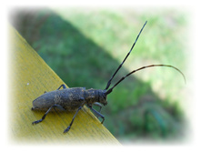 DSCN5366.JPG