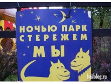 01.04.2010 11:29:23