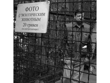01.04.2010 11:31:22