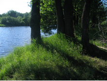 STA_0240.JPG