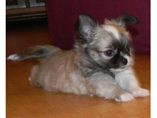 DSCN2817.JPG