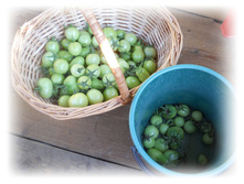 DSCN5407.JPG
