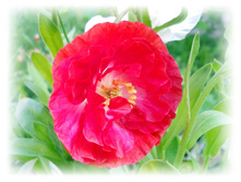 DSCN5446.JPG