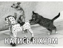 59274523-57967795-image.jpeg