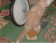 02.04.2010 23:05:38