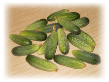DSCN5464.JPG