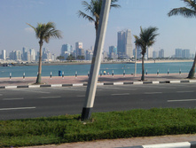 IMAG0334.jpg