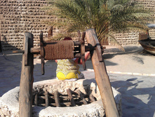 IMAG0353.jpg