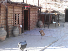 IMAG0354.jpg
