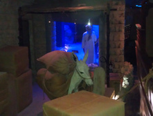 IMAG0358.jpg