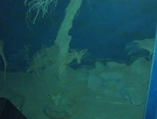 IMAG0362.jpg
