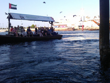 IMAG0369.jpg
