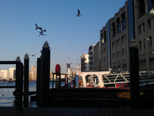 IMAG0372.jpg