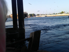 IMAG0373.jpg