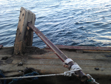 IMAG0374.jpg
