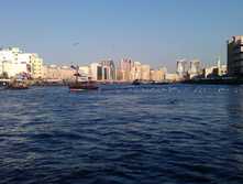 IMAG0375.jpg