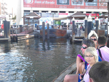 IMAG0376.jpg