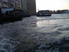 IMAG0378.jpg