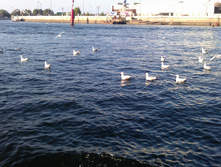 IMAG0379.jpg