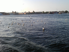 IMAG0380.jpg