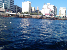 IMAG0381.jpg