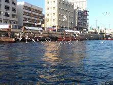 IMAG0386.jpg
