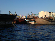 IMAG0390.jpg
